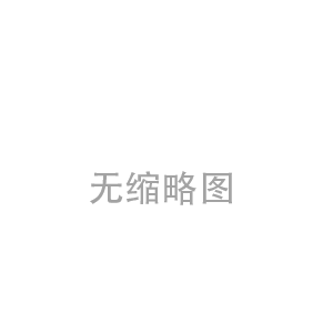 全封閉帶式稱重給煤機